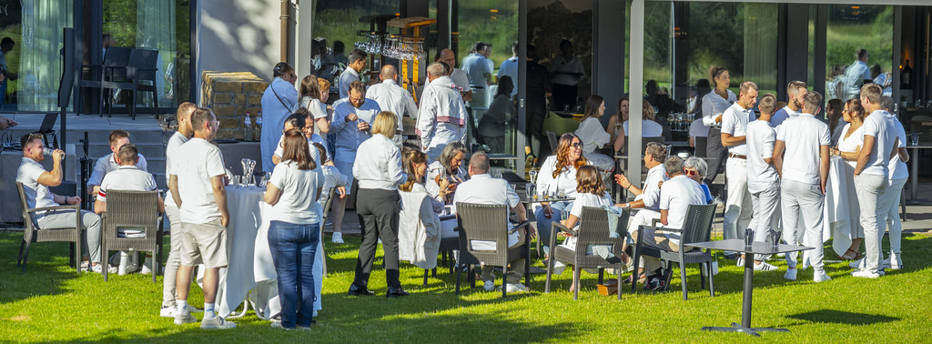 Outdoor reception with guests gathered on a sunlit lawn