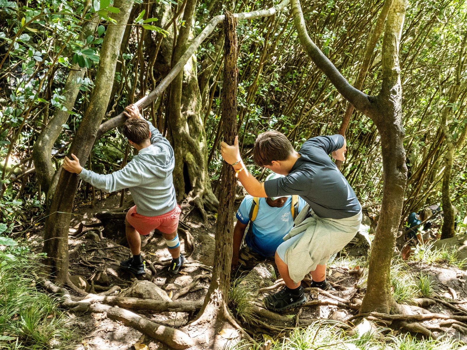Descending through roots and trees during the waterfall hike.